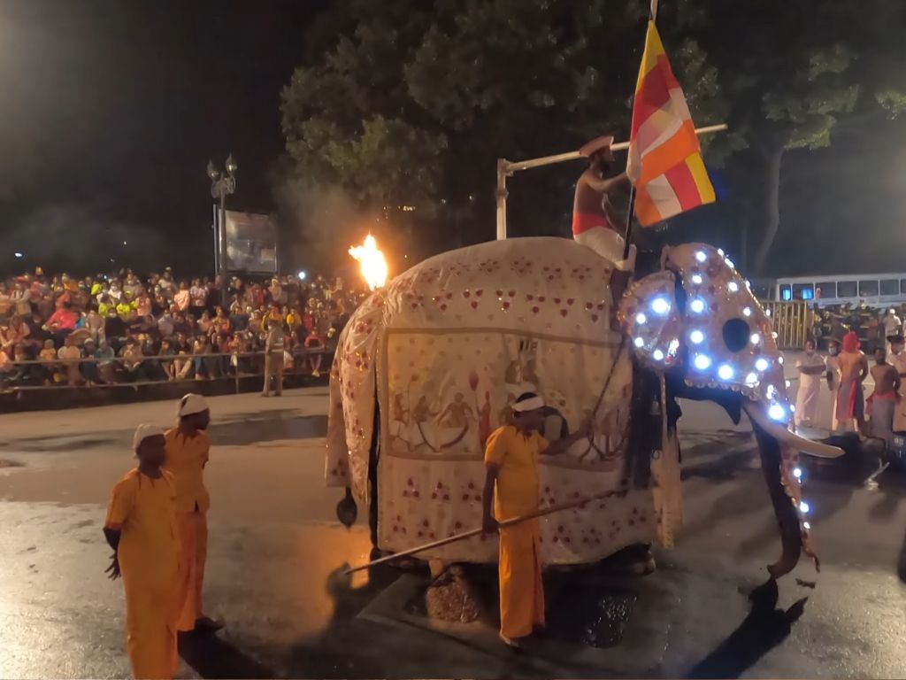 elephant in festival