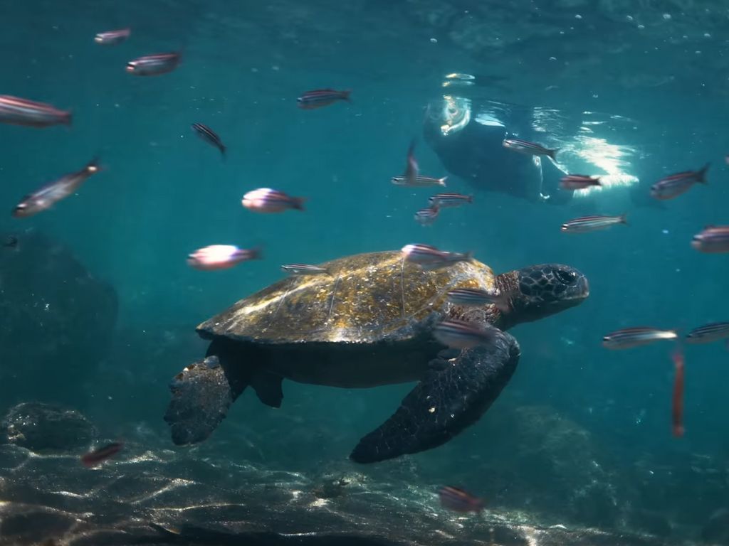 Galapagos island